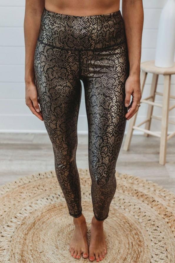 Zlate pajkice Anaconda 