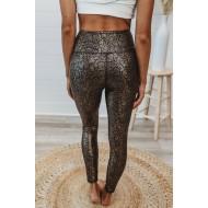 Zlate pajkice Anaconda 