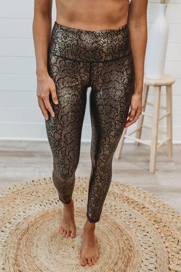 Zlate pajkice Anaconda 