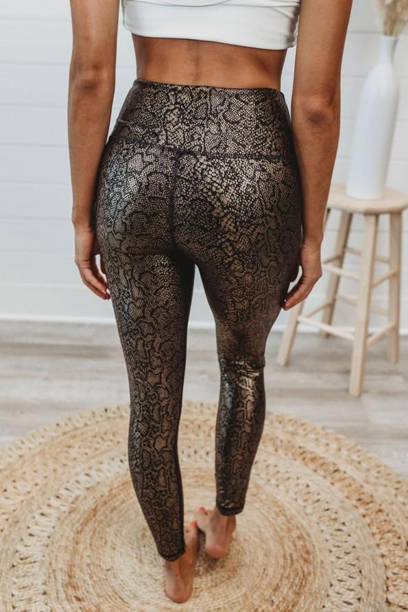 Zlate pajkice Anaconda 