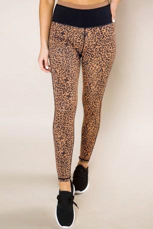 Rjave bombažne pajkice Elaine z leopardjim motivom