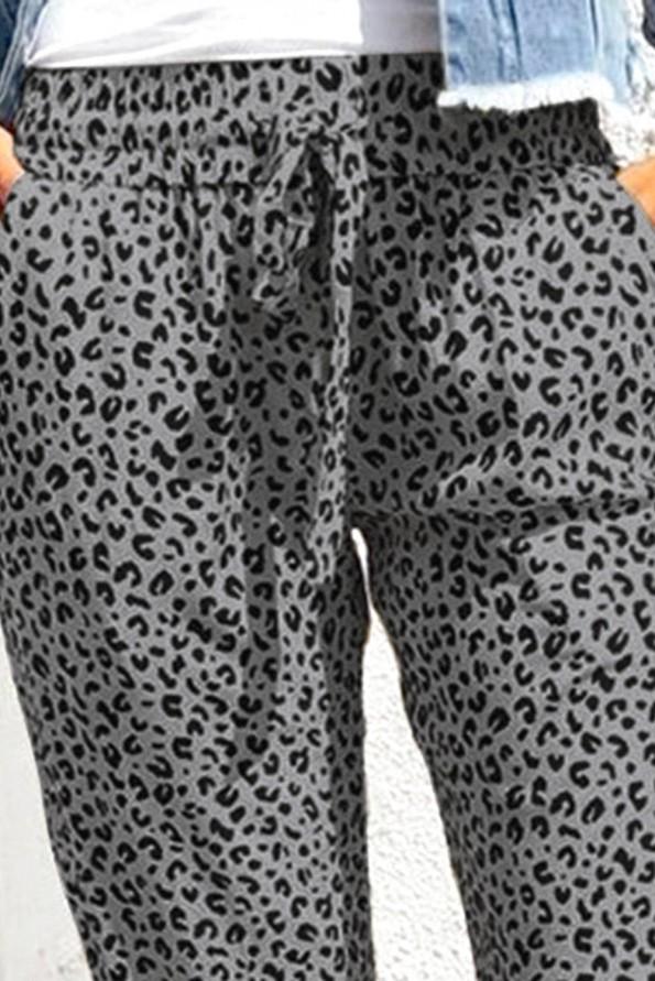 Sive jogger hlače Rowan z leopardjim motivom