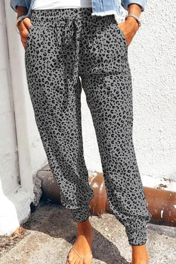 Sive jogger hlače Rowan z leopardjim motivom