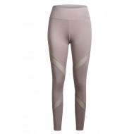 Sive raztegljive pajkice Noa