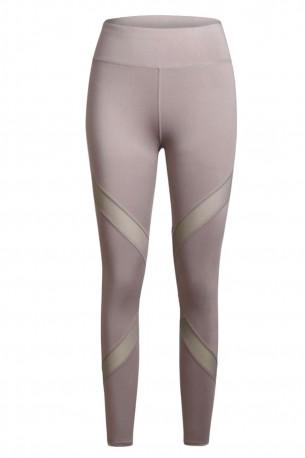 Sive raztegljive pajkice Noa